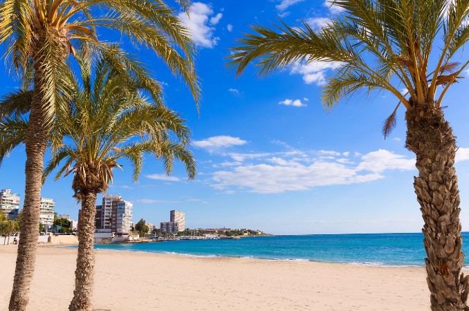 Playa de Santa Pola con palmeras y vistas a la bahía Playa de Santa Pola con palmeras y vistas a la bahía